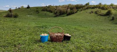 Прикрепленное изображение: IMG_20230513_145020.jpg